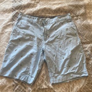 Mens Size 32 pineapple shorts light blue